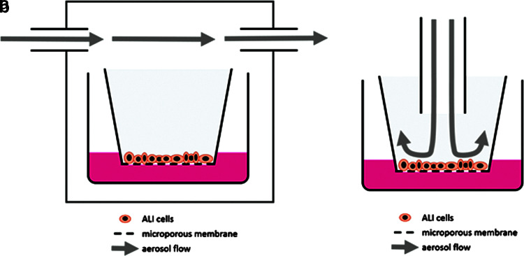 Air-Liquid Interface <i>In Vitro</i> Models for Respiratory Toxicology Research: Consensus Workshop and Recommendations.