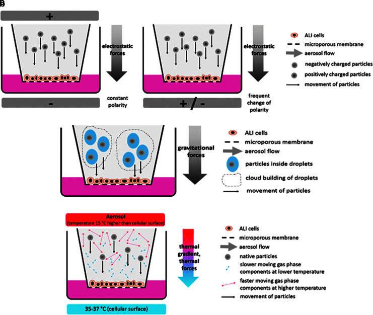 Air-Liquid Interface <i>In Vitro</i> Models for Respiratory Toxicology Research: Consensus Workshop and Recommendations.