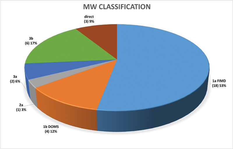 Can Elastosonography Be Useful in Improving Diagnosis and Prognosis of Acute Muscle Injuries?