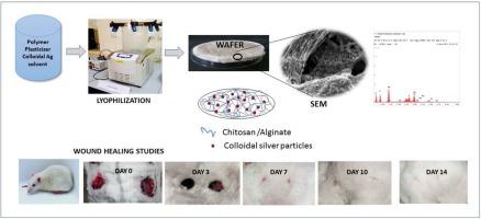 Development of antimicrobial colloidal silver incorporated lyophilized biopolymer wafers for wound care