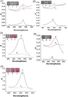 Fluorescent resonance energy transfer of organic fluorescent dyes with gold nanoparticles and their analytical application