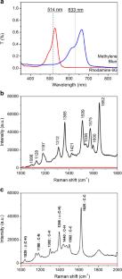 Au-Au composites with inverse opal structure for surface-enhanced Raman spectroscopy