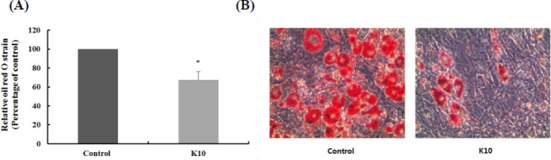 Physiological Characteristics and Anti-obesity Effect of <i>Lactobacillus plantarum</i> K10.