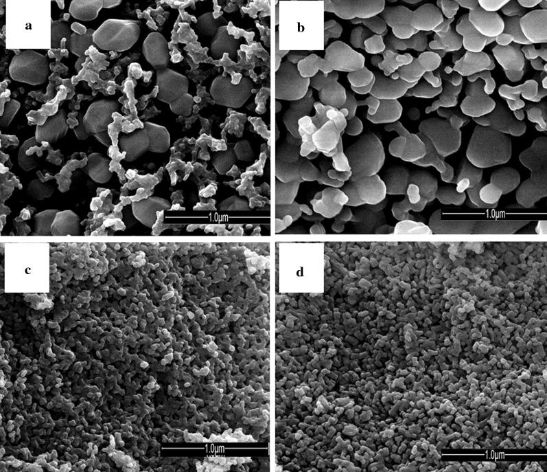 Immobilization of cesium from aqueous solution using nanoparticles of synthetic calcium phosphates.