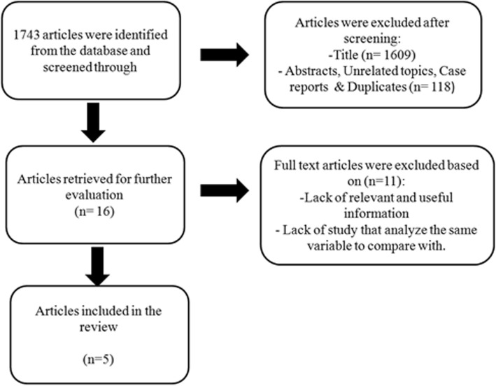 Is orbital floor a reliable and useful surgical landmark in endoscopic endonasal surgery?: a systematic review.