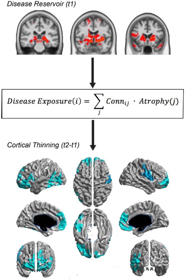 Testing the Protein Propagation Hypothesis of Parkinson Disease.