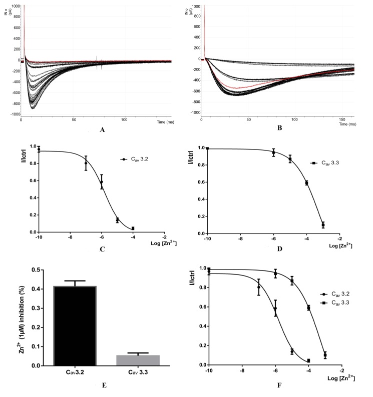 Functional Exploration Of T-Type Calcium Channels (Cav3.2 And Cav3.3) And Their Sensitivity To Zinc.