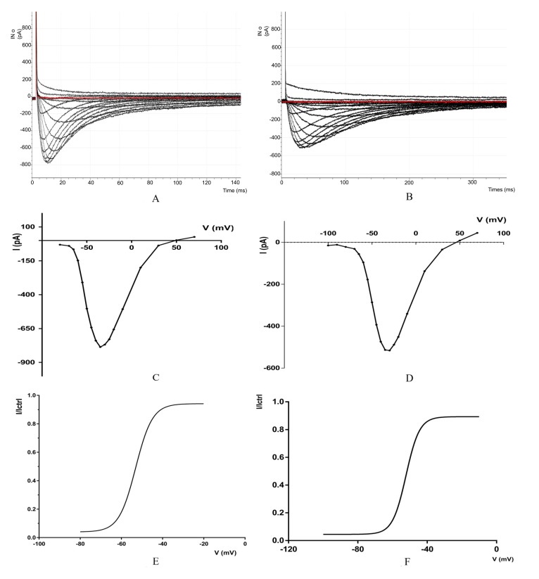 Functional Exploration Of T-Type Calcium Channels (Cav3.2 And Cav3.3) And Their Sensitivity To Zinc.