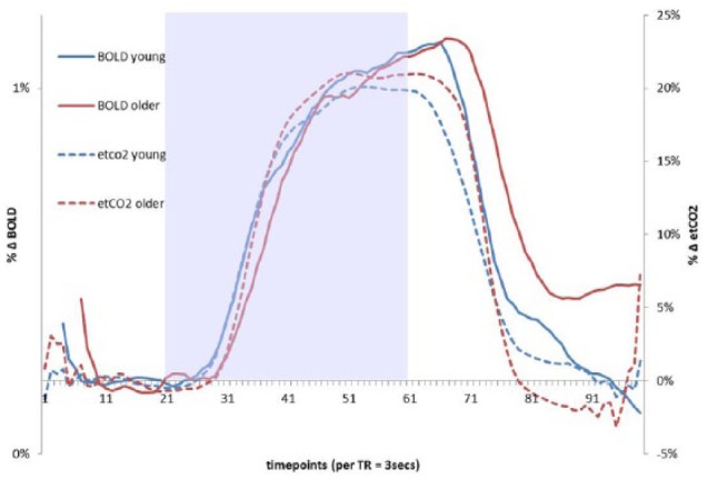 Regional Cerebrovascular Reactivity and Cognitive Performance in Healthy Aging.