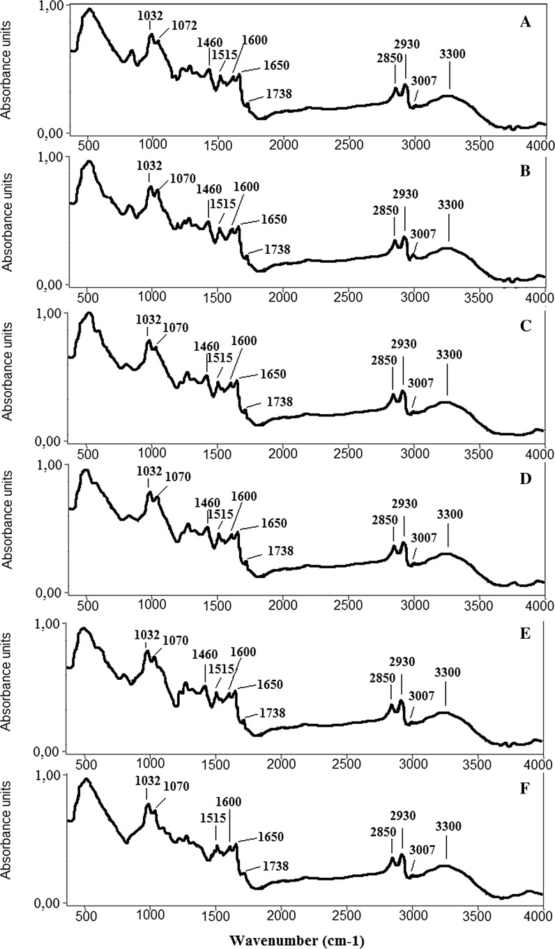 Identification of birch pollen species using FTIR spectroscopy