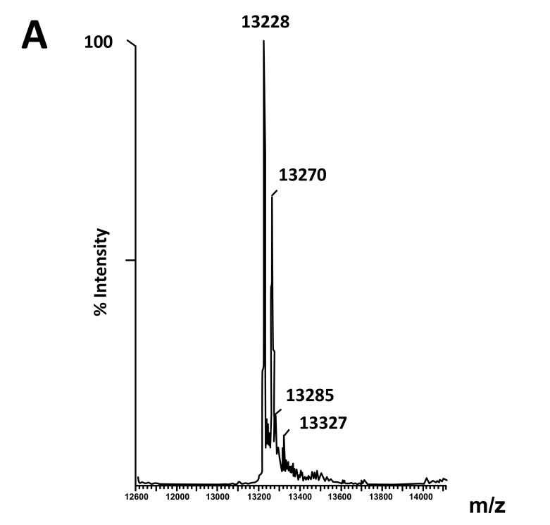 RpbL12 Assists Catalysis by Correctly Positioning the Incoming Aminoacyl-tRNA in the A-Site of <i>E. coli</i> 70S Ribosomes.