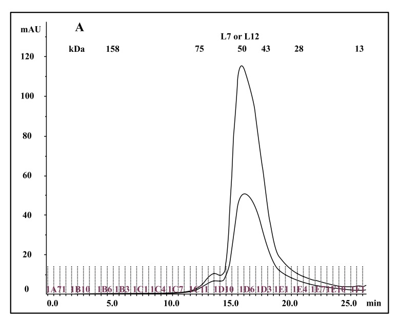 RpbL12 Assists Catalysis by Correctly Positioning the Incoming Aminoacyl-tRNA in the A-Site of <i>E. coli</i> 70S Ribosomes.