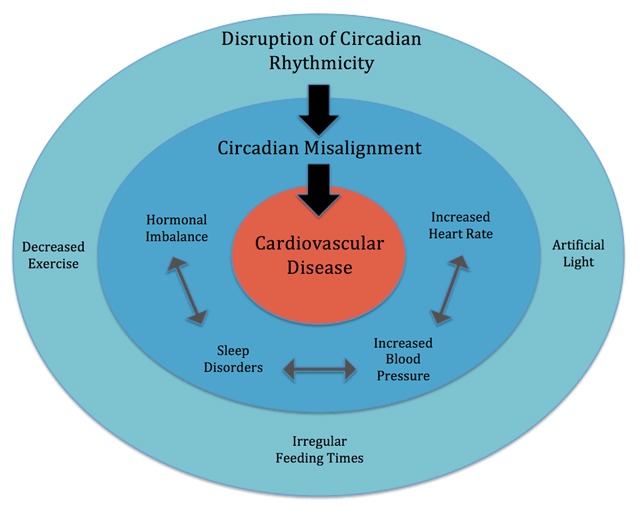 Circadian Rhythms, Exercise, and Cardiovascular Health.