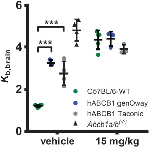 Humanization of the Blood-Brain Barrier Transporter ABCB1 in Mice Disrupts Genomic Locus - Lessons from Three Unsuccessful Approaches.