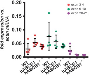 Humanization of the Blood-Brain Barrier Transporter ABCB1 in Mice Disrupts Genomic Locus - Lessons from Three Unsuccessful Approaches.