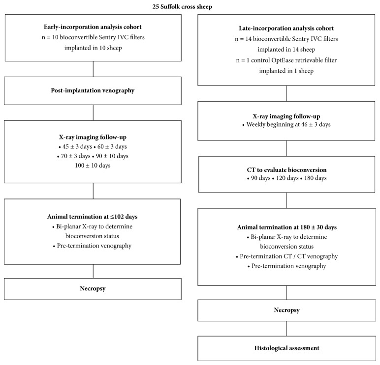 Sentry Bioconvertible Inferior Vena Cava Filter: Study of Stages of Incorporation in an Experimental Ovine Model.