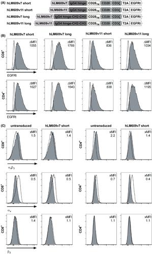 CAR T cells targeting αvβ3 integrin are effective against advanced cancer in preclinical models