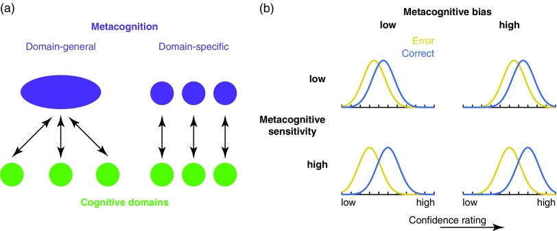 Human metacognition across domains: insights from individual differences and neuroimaging.