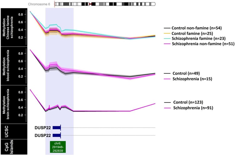 Genetic vulnerability to DUSP22 promoter hypermethylation is involved in the relation between in utero famine exposure and schizophrenia.