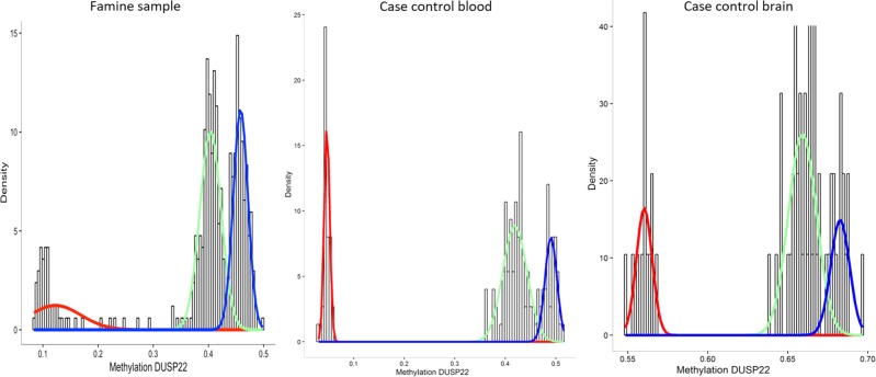 Genetic vulnerability to DUSP22 promoter hypermethylation is involved in the relation between in utero famine exposure and schizophrenia.