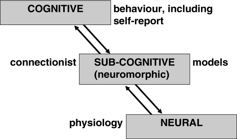 Some Metatheoretical Principles for Personality Neuroscience.