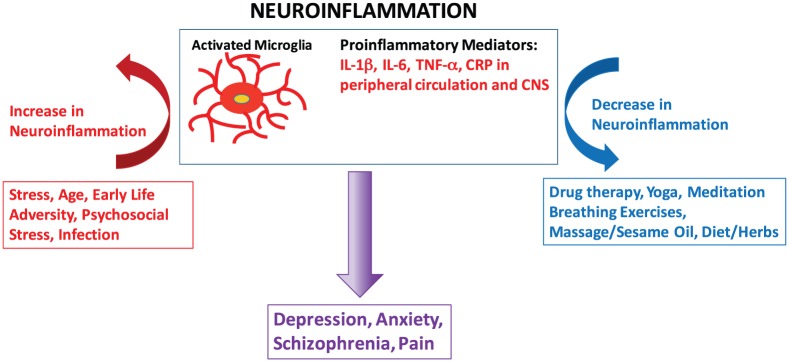 An Integrative Approach to Neuroinflammation in Psychiatric disorders and Neuropathic Pain.