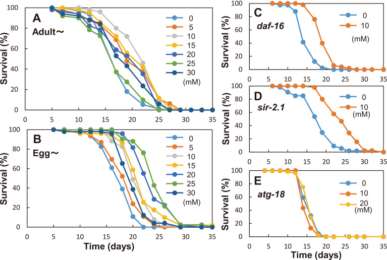 Glucosamine Extends the Lifespan of <i>Caenorhabditis elegans</i> via Autophagy Induction.