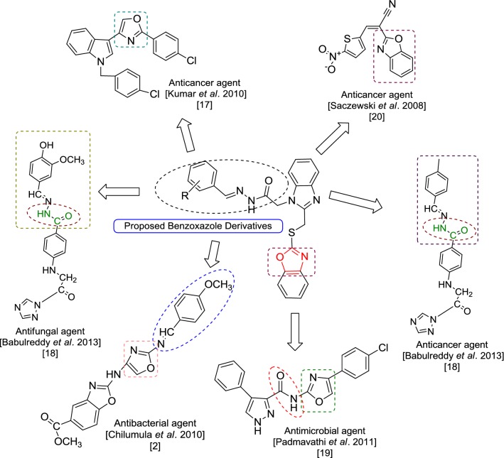 Benzoxazole derivatives: design, synthesis and biological evaluation.