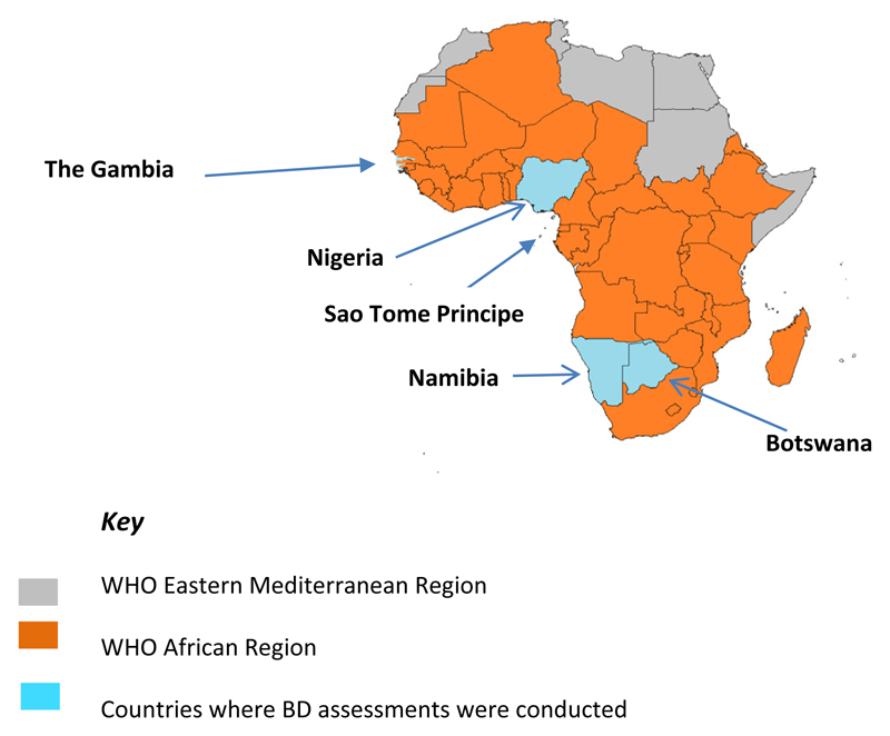 Implementing a Birth Dose of Hepatitis B Vaccine in Africa: Findings from Assessments in 5 Countries.