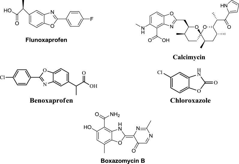 Benzoxazole derivatives: design, synthesis and biological evaluation.