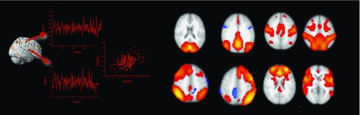 Network Neuroscience and Personality.