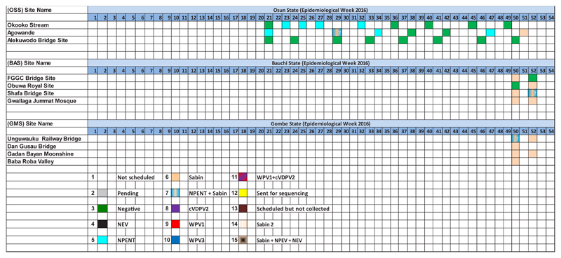 Progress on the Implementation of Environmental Surveillance in the African Region, 2011-2016.