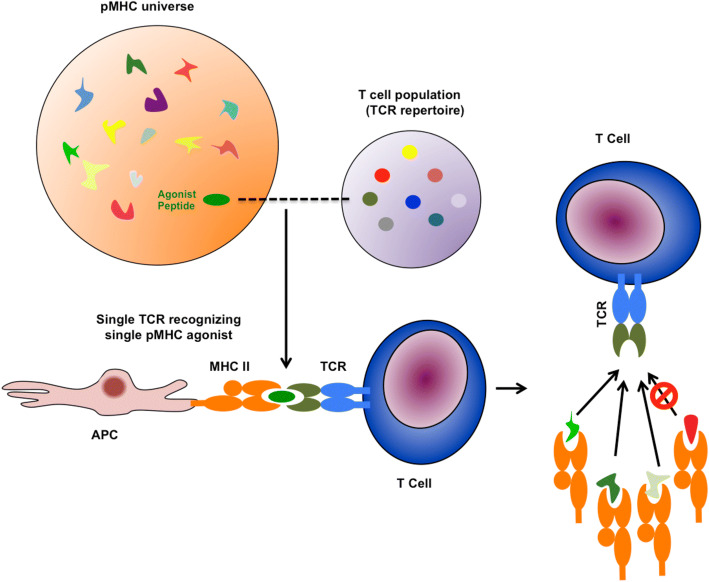 Precision medicine in pediatric oncology.