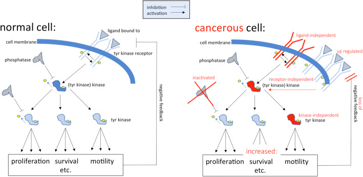 Precision medicine in pediatric oncology.