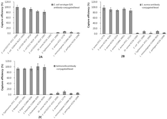 Direct Detection of <i>Escherichia coli, Staphylococcus aureus</i>, and <i>Salmonella</i> spp. in Animal-derived Foods Using a Magnetic Bead-based Immunoassay.