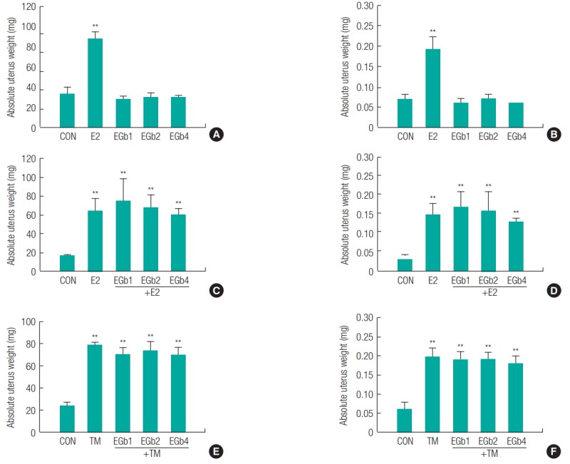 Ginkgo biloba extract (EGb761) did not express estrogenic activity in an immature rat uterotrophic assay.