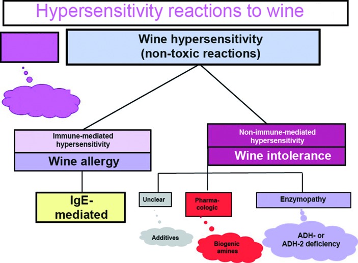 Allergic and intolerance reactions to wine.