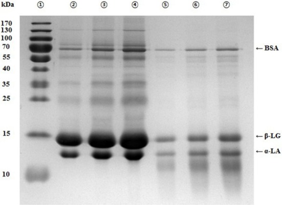 Comparison of Allergic Parameters between Whey Protein Concentrate and Its Hydrolysate in Rat Basophilic Leukemia (RBL)-2H3 Cells.