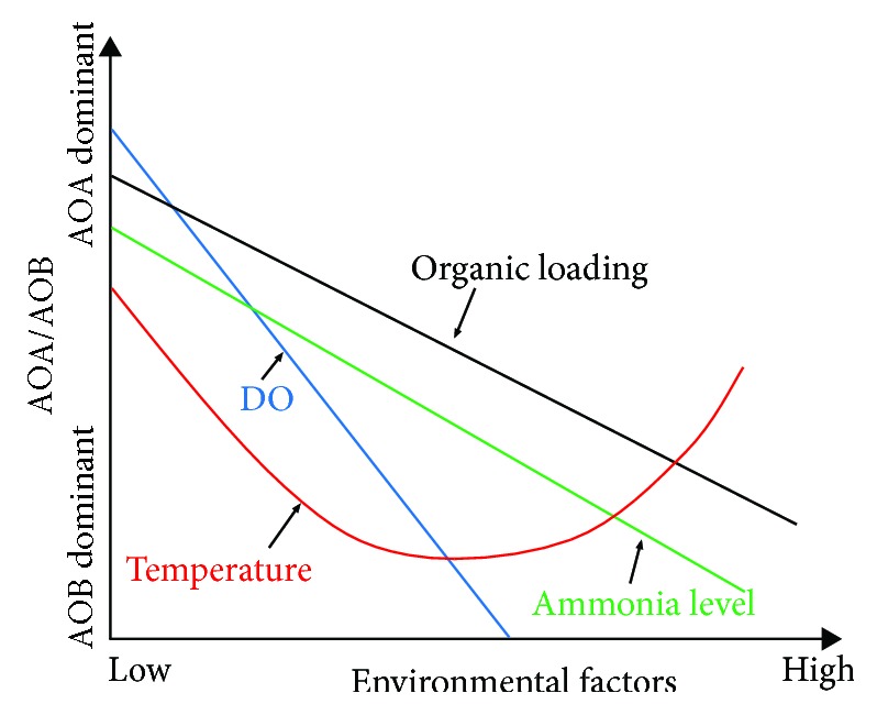 Ammonia-Oxidizing Archaea (AOA) Play with Ammonia-Oxidizing Bacteria (AOB) in Nitrogen Removal from Wastewater.