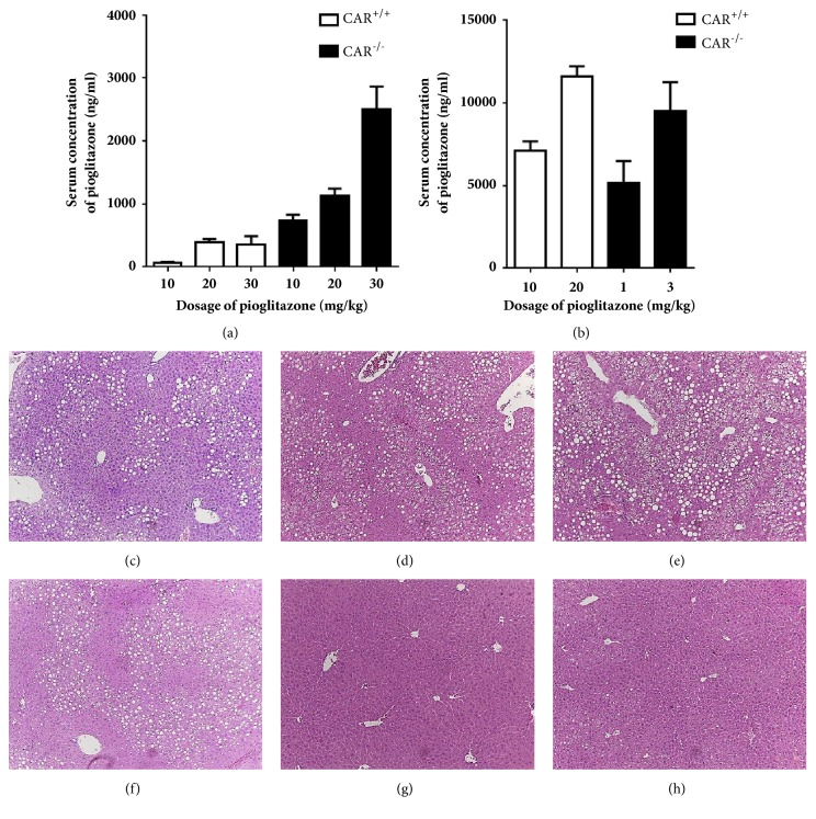 Effects of Pioglitazone on Nonalcoholic Fatty Liver Disease in the Absence of Constitutive Androstane Receptor Expression.