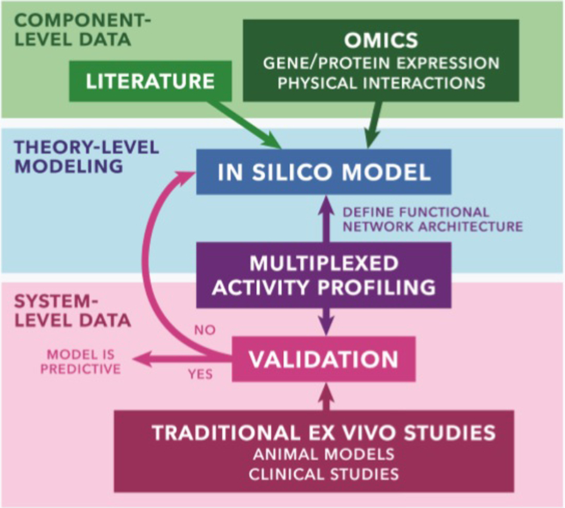 The growing role of precision and personalized medicine for cancer treatment.