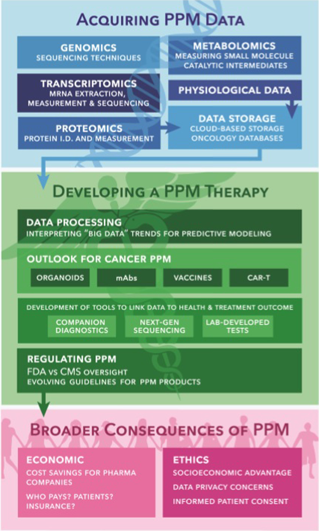 The growing role of precision and personalized medicine for cancer treatment.