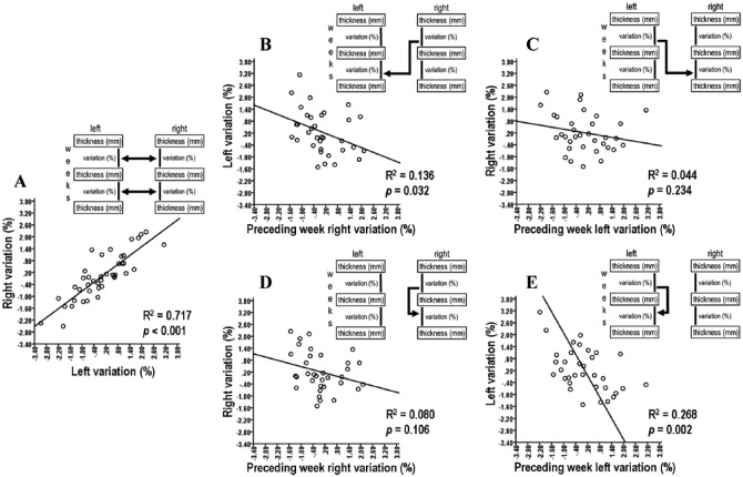 Relationships in Ongoing Structural Maintenances of the Two Cerebral Cortices of an Individual Brain.