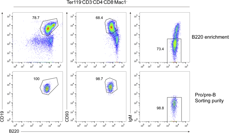 A protocol for generating induced T cells by reprogramming B cells in vivo