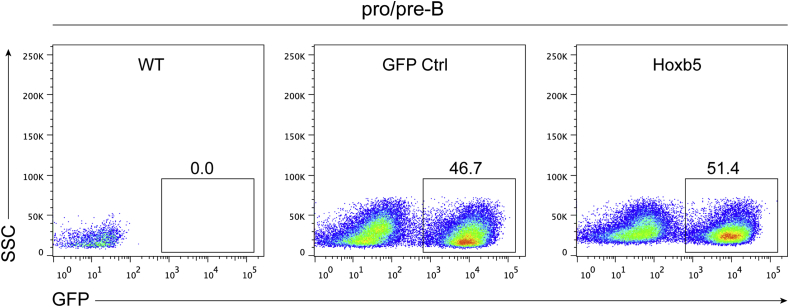 A protocol for generating induced T cells by reprogramming B cells in vivo