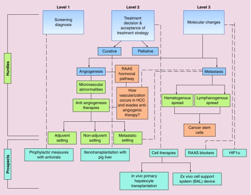 Hepatocellular carcinoma treatment: hurdles, advances and prospects.