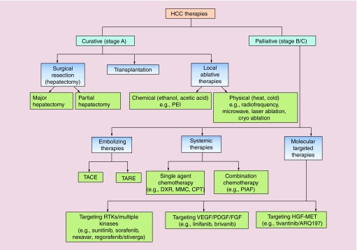 Hepatocellular carcinoma treatment: hurdles, advances and prospects.