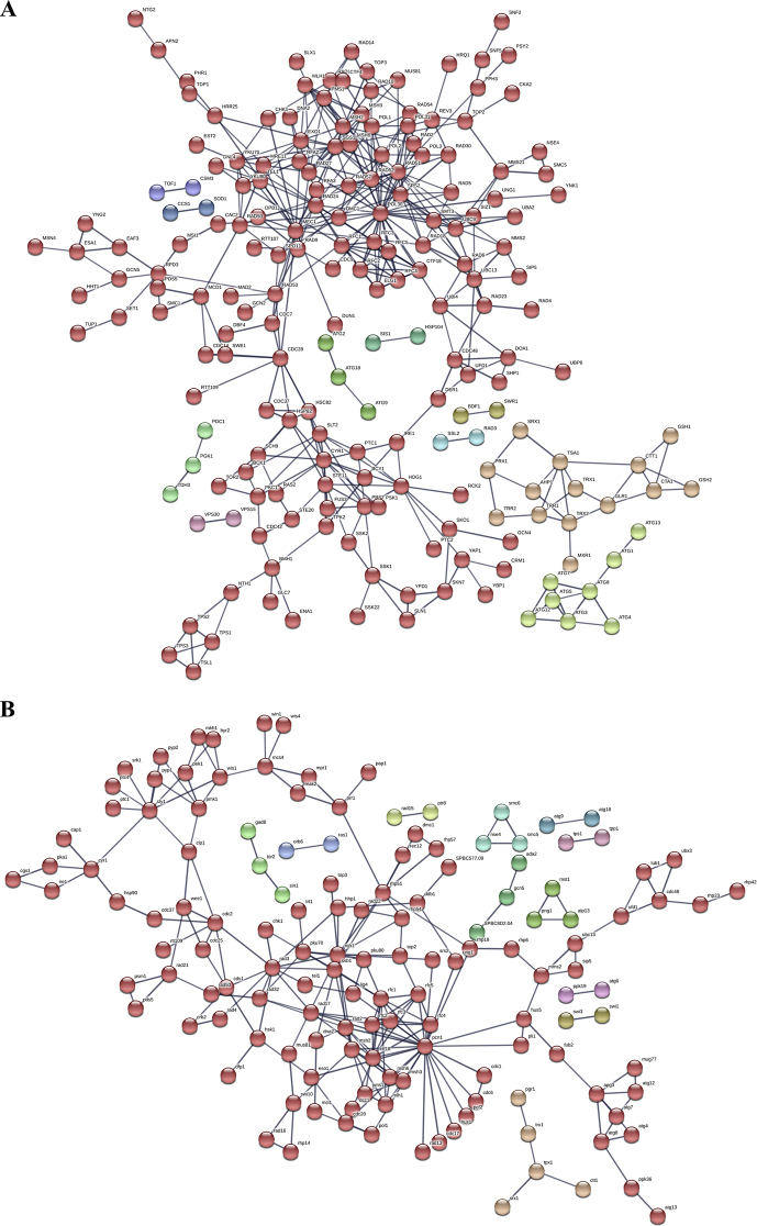 Duplications and losses of genes encoding known elements of the stress defence system of the Aspergilli contribute to the evolution of these filamentous fungi but do not directly influence their environmental stress tolerance