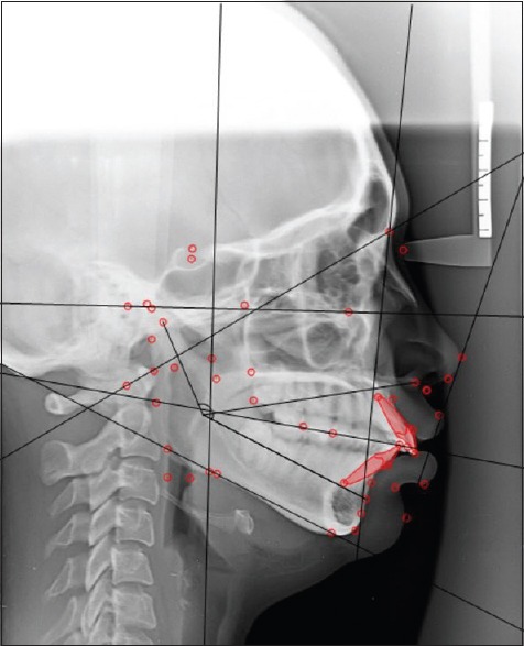 Abstract Image