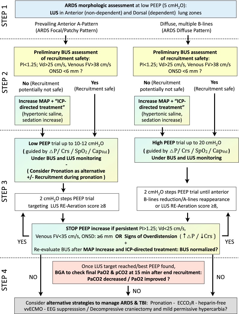 Combined lung and brain ultrasonography for an individualized "brain-protective ventilation strategy" in neurocritical care patients with challenging ventilation needs.